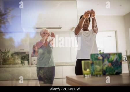 Le donne anziane si allenano al computer portatile nella sala da pranzo Foto Stock