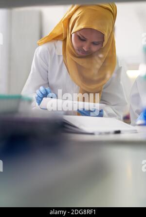 Scienziata femminile in hijab che usa tablet digitale in laboratorio Foto Stock