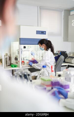 Donna scienziata in maschera facciale che lavora in laboratorio Foto Stock