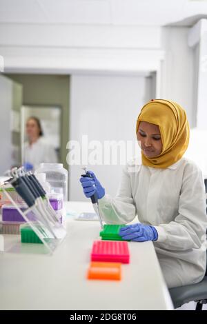 Donna scienziata in hijab che riempie vassoi per pipette in laboratorio Foto Stock