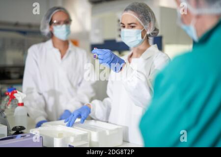 Le donne scienziati in indumenti da lavoro protettivi esaminano i campioni Foto Stock