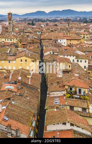 Veduta aerea Centro storico di Lucca, Italia Foto Stock