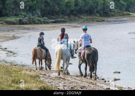 Cavalieri sul fiume Gannel marea bassa a Newquay in Cornovaglia. Foto Stock