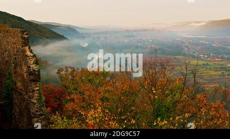 Nebbia che copre le foreste di montagna in ucraina Foto Stock
