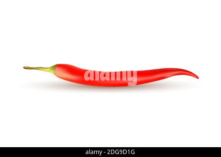 Rosso peperone caldo realistico vettore mesh isolato su sfondo bianco Illustrazione Vettoriale