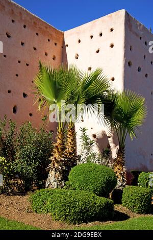 Rovina vecchia marrone costruzione africa giardino Foto Stock
