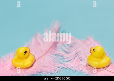 Due piccole anatre di gomma gialla su morbide piume rosa uno sfondo blu Foto Stock