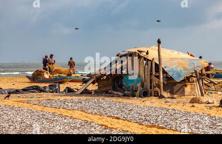 I pescatori e l'essiccazione del pesce sulla spiaggia di Negombo Foto Stock