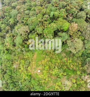 Foto in alto del bordo della foresta pluviale, foresta pluviale primaria incontaminata in cima. Colto con capanna sotto. Vicino Puertp Quito in thw minacciato Cho Foto Stock