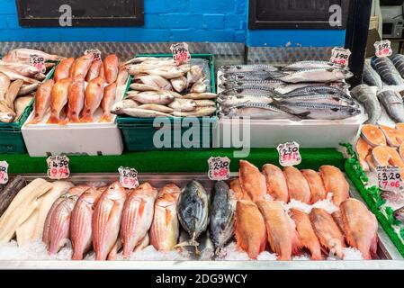 Triglia di scoglio, snapper e altri pesci in vendita in un mercato di Brixton, Londra Foto Stock