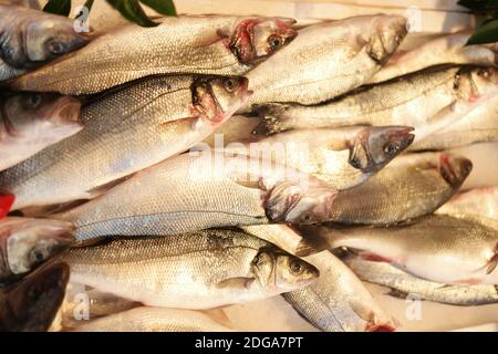 Pesce fresco di orata di mare accatastato su ghiaccio al mercato del pesce. Foto Stock