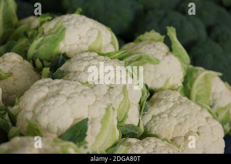 Gruppo di cavolfiori con foglie verdi. Foto Stock