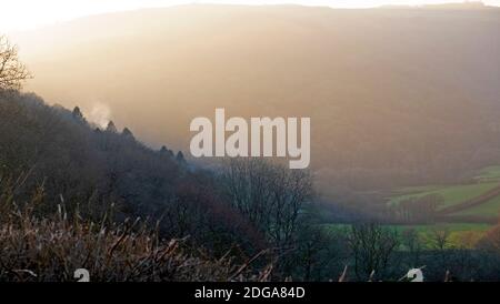 Nel tardo pomeriggio, vista del misty boscoso paesaggio autunnale in collina Novembre al tramonto a Carmarthenshire West Wales UK KATHY DEWITT Foto Stock