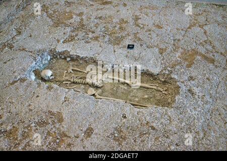 Vecchio scheletro in una tomba poco profonda, Palazzo Romano di Fishbourne. Fishbourne, Chichester nel Sussex occidentale. REGNO UNITO. Foto Stock