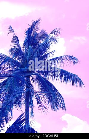 Immagine verticale di Abstract surreale Pop Art stile Cobalt Blue Palm Tree su pastello Pink Sky Foto Stock