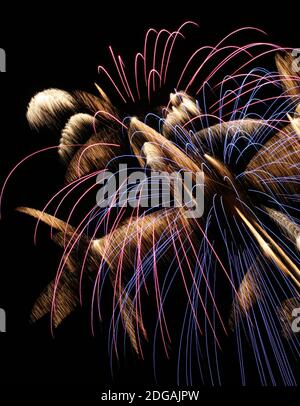 Fuochi d'artificio colorati presi il 4 luglio Foto Stock