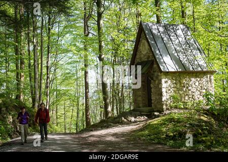 Sulla strada per Petersburg, vicino a Grosse Riesenkopf vicino a Flintsbach, Baviera, Germania Foto Stock