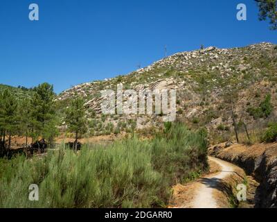 PR10 sei percorso a piedi a lato di un canale d'acqua che separa la foresta di pini sottostante e la montagna rocciosa sopra a Serra da Estrela, Portogallo Foto Stock