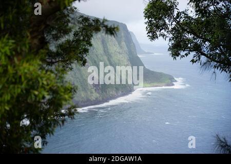 Scogliere a nord della valle di Waipio, vista attraverso gli alberi in un giorno nuvoloso - Hawaii Island, Hawaii, Stati Uniti Foto Stock