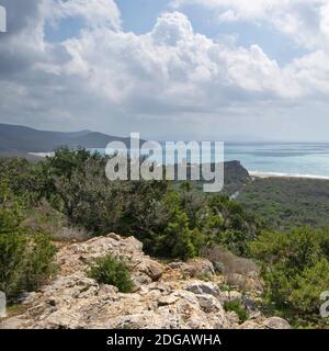 Vista panoramica sulla costa toscana della Maremma con la sua vasta pineta. Antica torre di guardia su una collina, in lontananza Foto Stock