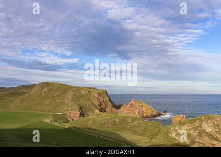 St Abbs Head Berwickshire confina con la Scozia UK Foto Stock
