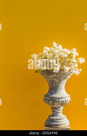 Bella vaso di fiori vintage sullo sfondo di mattoni gialli con spazio copia. Muro di mattoni intonacato pulito e pittura gialla con decorazioni in vaso di fiori Foto Stock