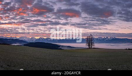 Panorama al tramonto sulle Alpi. Svizzera. Foto Stock