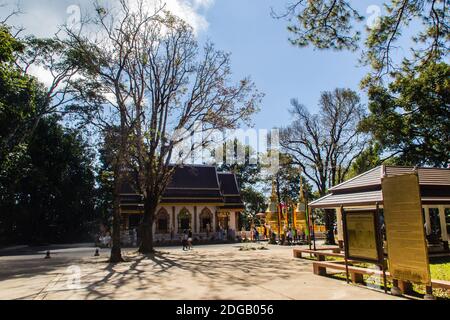 Chiang Rai, Thailandia - 18 novembre 2017: Il turista ha visitato le pagode dorate a Wat Phra che Doi Tung, uno dei quali si ritiene contenere la sinistra c Foto Stock