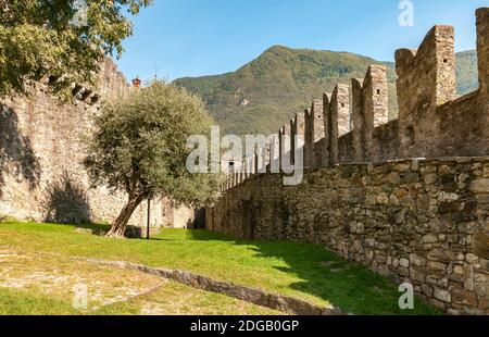 Castello di Montebello situato su una collina rocciosa a est della città di Bellinzona, Ticino, Svizzera Foto Stock