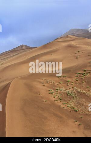 Megadune si affaccia sul lago Sumu Brun Jaran E.Shore-Badain Jaran deserto-interna Mongolia-Cina-1160 Foto Stock