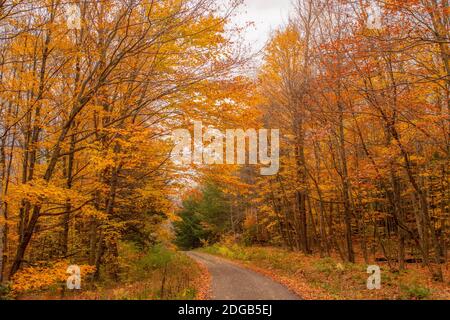 Vista dall'alto lungo una pista ciclabile Foto Stock
