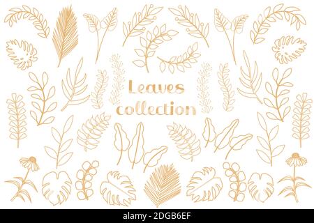 Set moderno di foglie tropicali dorate, palme, monstera. Minimalismo scandinavo nello stile delle linee, bozzetti di piante, fiori per il design. Illustrazione vettoriale Illustrazione Vettoriale