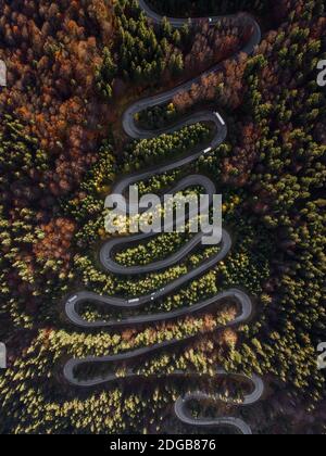 Strada curva attraverso il colorato passo della foresta autunnale a Chea, Transilvania Romania, vista aerea dal drone Foto Stock