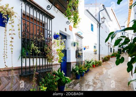 Tipica casa dei villaggi bianchi con pentole sulla sua facciata. El Bosque, Cádiz, Andalucía, Spagna, Europa Foto Stock