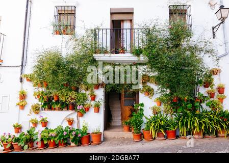 Tipica casa dei villaggi bianchi con pentole sulla sua facciata. Grazalema, Cádiz, Andalucía, Spagna, Europa Foto Stock