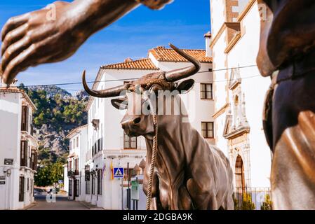 Un monumento alle tradizioni locali a Grazalema. 'Lunes de El Toro de Cuerda' questo evento coinvolge un toro da combattimento con una lunga corda legata ai suoi corni e t Foto Stock