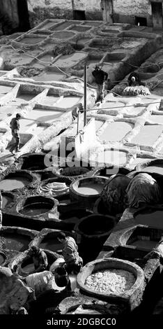 In marocco africa la conceria antica Foto Stock