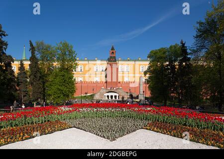 Alexander Garden e le Mura Arsenali, Cremlino, Mosca, Russia Foto Stock