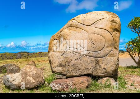 Petroglyph sull'Isola di Pasqua o Rapa Nui Foto Stock