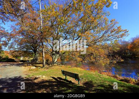 Frank Melville Memorial Park Setauket Long Island Foto Stock