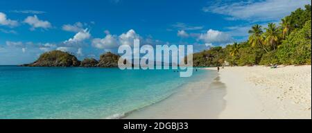 Vista della Trunk Bay e della spiaggia, San Giovanni, Isole Vergini statunitensi Foto Stock