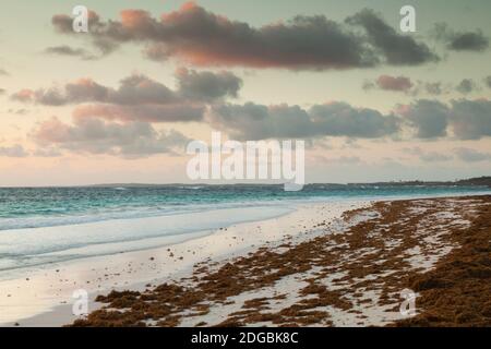 Vista elevata di Pink Sands Beach, Dunmore Town, Harbour Island, Eleuthera Island, Bahamas Foto Stock