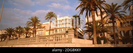 Vista ad angolo basso delle palme, Sitges, Barcellona, Catalogna, Spagna Foto Stock