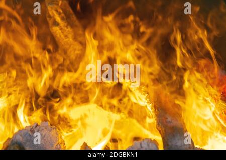 Fuoco Smoke effetti legno artificiale tronchi in Camino Foto Stock