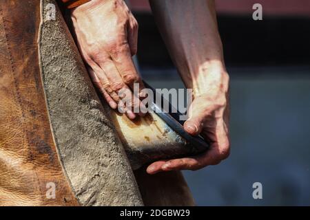 Il guerriero tiene la gamba del cavallo Foto Stock