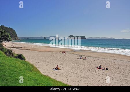 Hahei Beach, Hahei, Penisola di Coromandel, regione di Waikato, Isola del nord, Nuova Zelanda Foto Stock