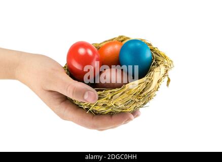 Uova di colore blu rosso dipinte giacenti in un nido naturale sul palmo di una mano femminile Foto Stock