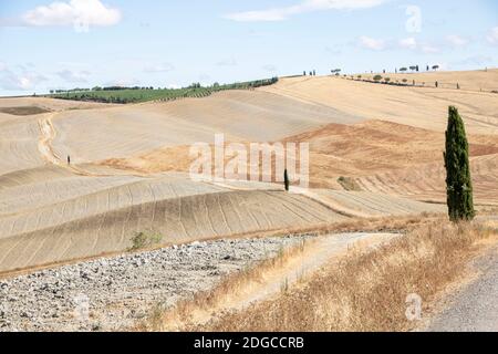 A San Quirico d'Orcia - Italia - il 2020 agosto - paesaggio della Val d'Orcia in estate, Toscana Foto Stock