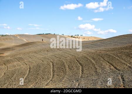 A San Quirico d'Orcia - Italia - il 2020 agosto - paesaggio della Val d'Orcia in estate, Toscana Foto Stock