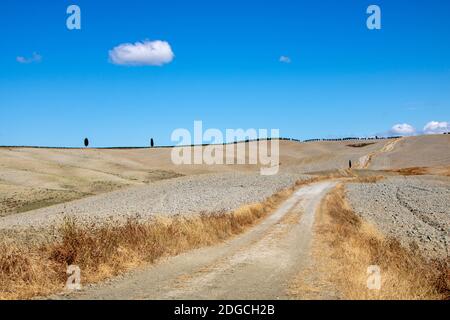 A San Quirico d'Orcia - Italia - il 2020 agosto - paesaggio della Val d'Orcia in estate, Toscana Foto Stock